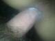 Private Photo of mycya