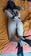 Private Photo of BambolinaRibelle