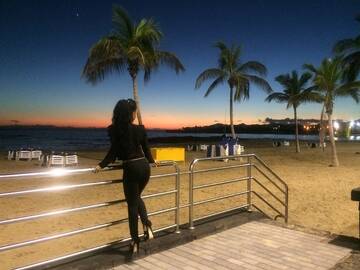 Tropical Dream