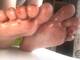 piedi sporchi