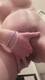 con due dita