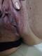 sperma