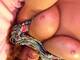 Private Photo of Benita68