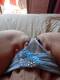 slip trasparenti