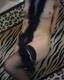 Private Photo of vanessa2008