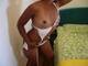 Private Photo of venere_nera