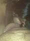 Private Photo of moglie23enne