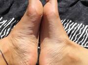 Piedi